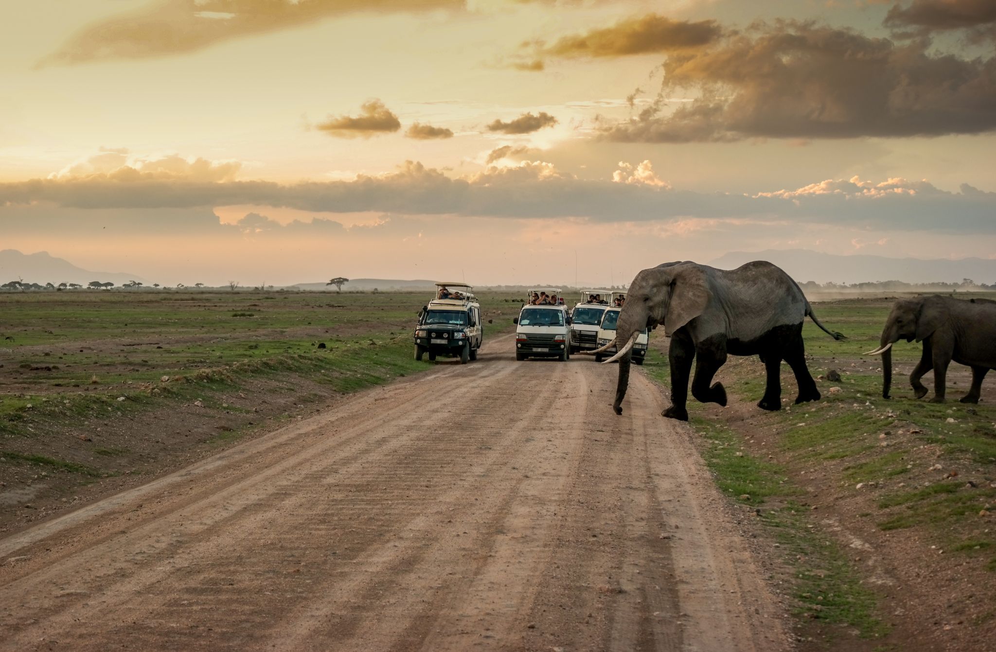 Budget Tanzania Safari gallery photo 1